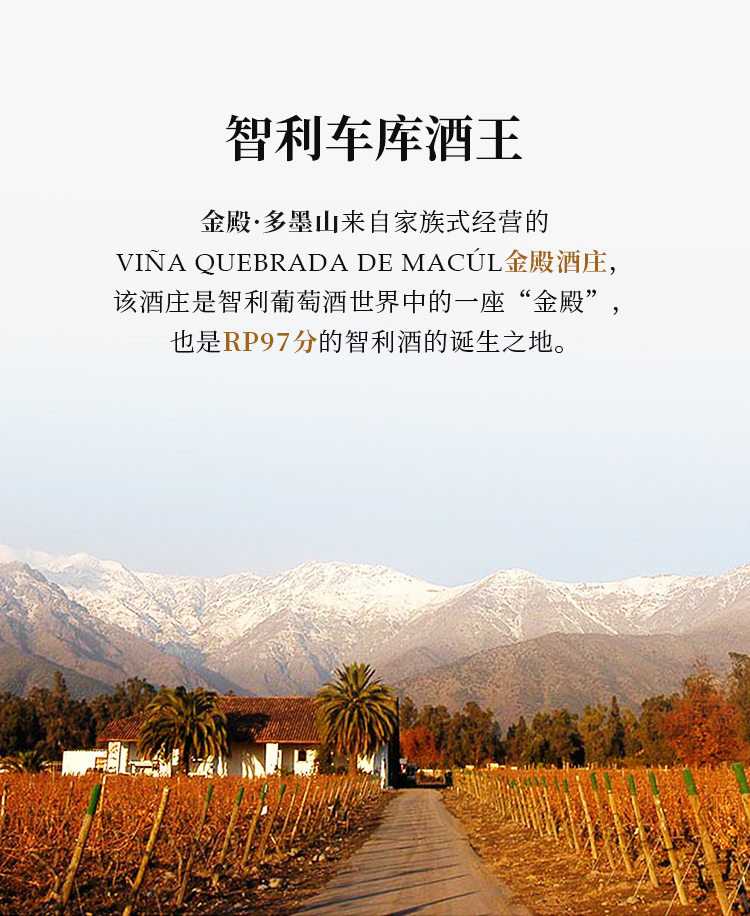 2007年份智利十八罗汉之一车库酒王金殿多墨山domusaurea赤霞珠干红