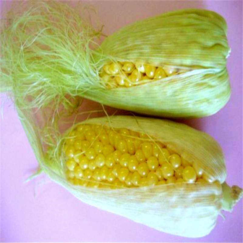 【花语笙默袋】【花语笙默】菠萝玉米种子四季播种易成活籽种蔬菜玉米