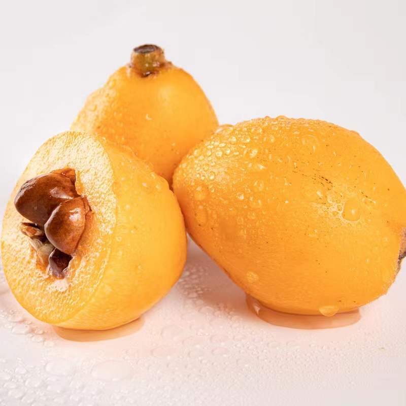 【顺丰京东】正宗福建书峰大枇杷孕妇当季水果仙游枇杷大果现摘现发 3