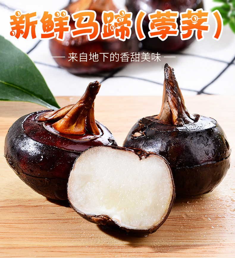 新鲜马蹄荸荠3斤/5斤/8斤地梨饽荠当季水果红马蹄果莲 5斤