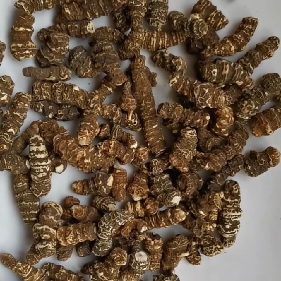 白蚤休草河车云南重楼中药材七叶一枝花 重楼个独角莲500克 500g