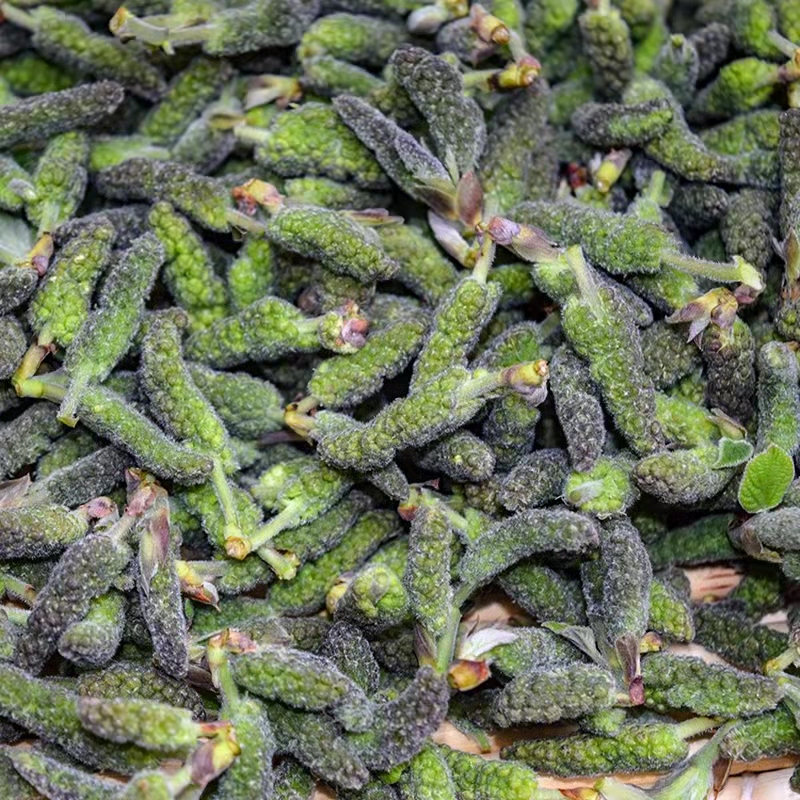 穗构树花蒸菜新鲜现摘棒槌儿楮不揪子狗蒲穗构桃穗构蒲穗现摘2000g