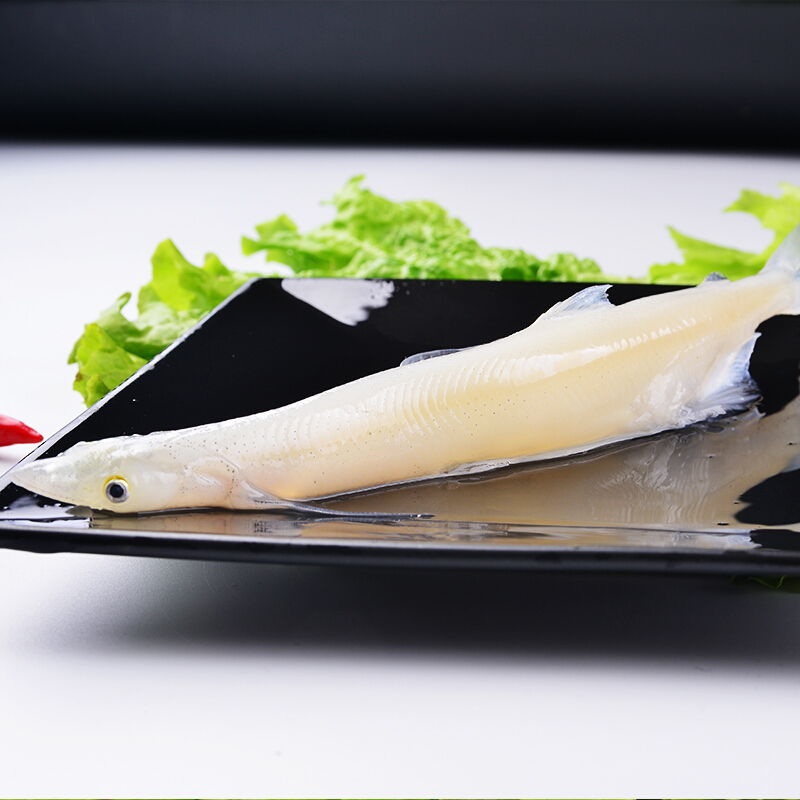 查干湖大银鱼2斤鱼鲜活绿色