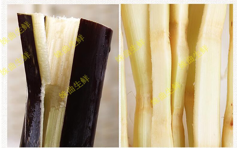现砍现发新鲜黑皮甘蔗水果甘蔗整根现砍现发清脆多汁广西黑皮甘蔗净重