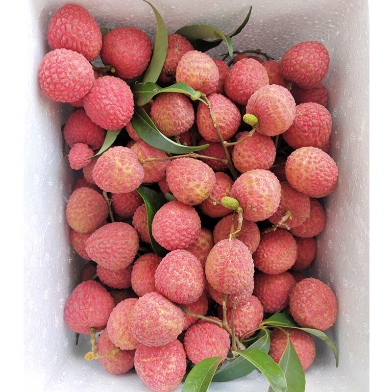 顺丰冷链 海南荔枝新鲜当季小核荔枝顺丰空运 2500g 妃子笑【顺丰】