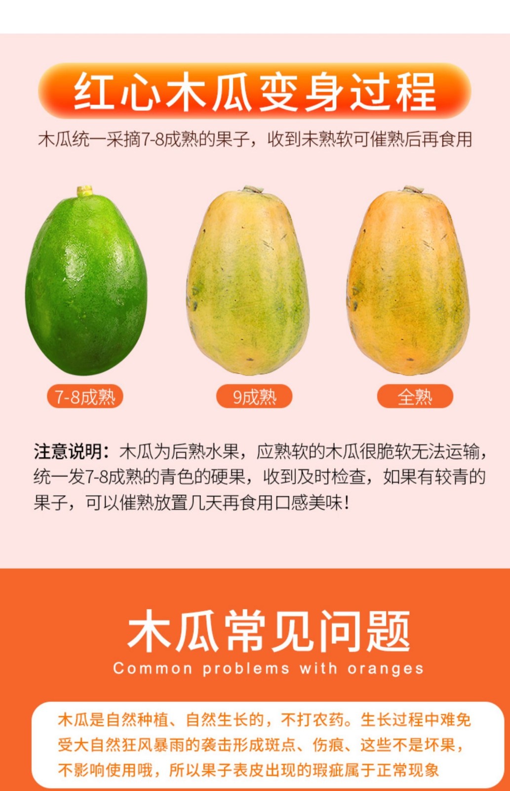 甘果有约木瓜广西红心木瓜冰糖牛奶木瓜水果新鲜水果木瓜2斤试装装