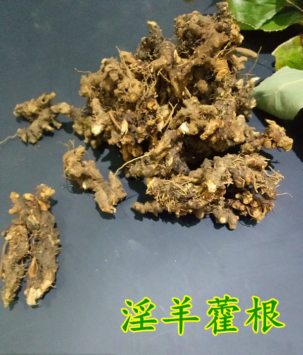 淫羊藿根250g淫羊藿叶泡茶整株苗仙灵脾男性滋补10月23日发完九九和仁