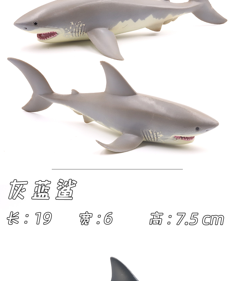 史前生物模型仿真虎鲨大鲨鱼大白鲨史前巨齿鲨仿真海洋生物动物模型