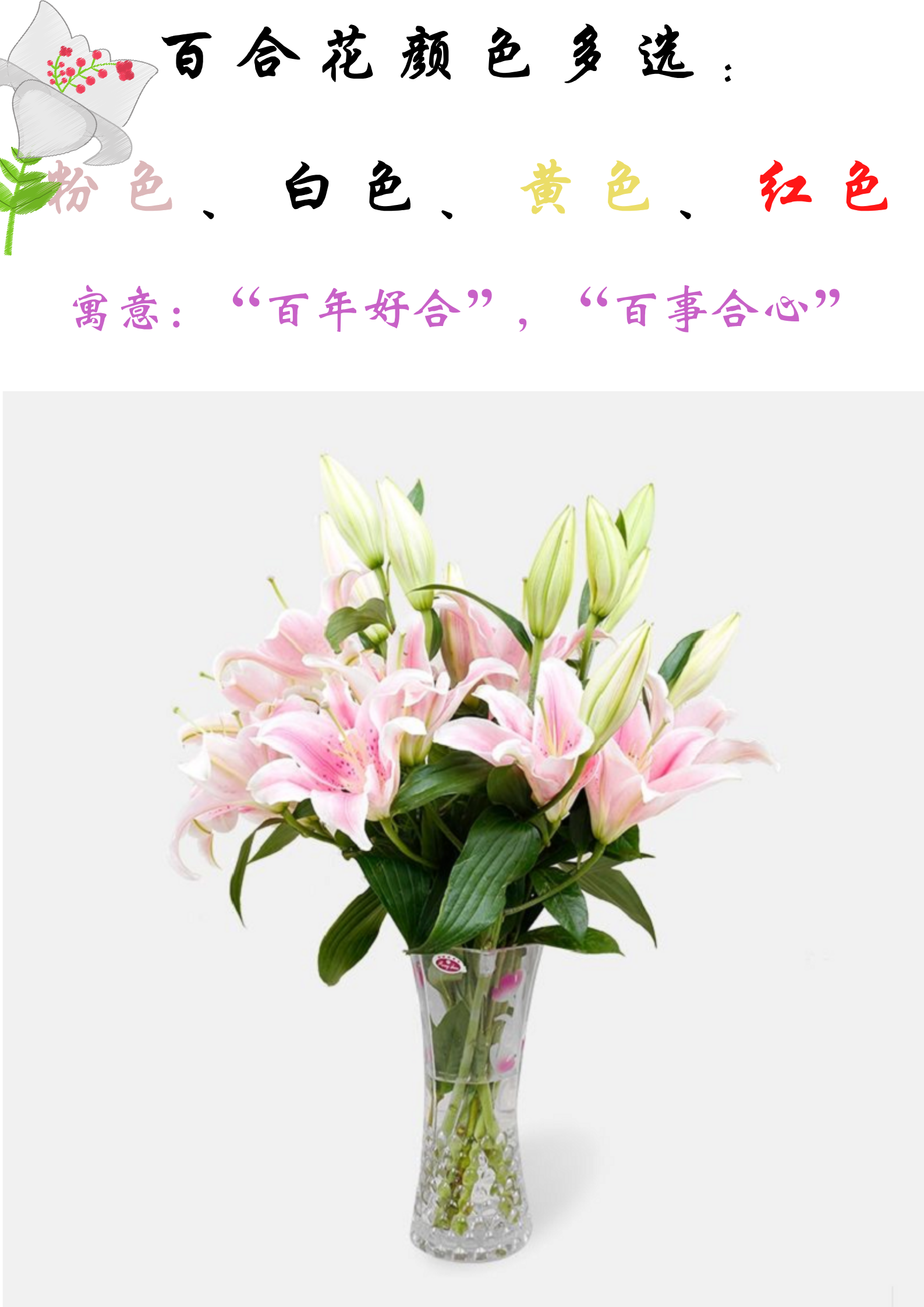 花拍中心-香水百合 送女友送闺蜜送长辈 多种颜色都可选择的百合鲜花