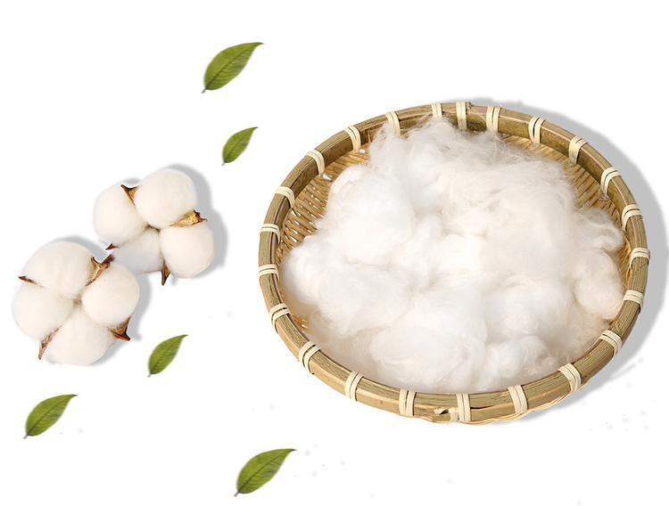 花种子花籽树种子散装新棉花种子高产抗虫抗病农家大田基地易种植棉花