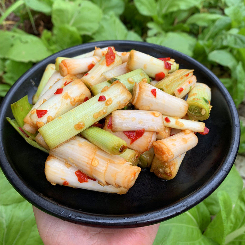 瓶装农家自制腌制大蒜苗大蒜叶大蒜杆小菜速食下饭菜1瓶大蒜苗450克瓶