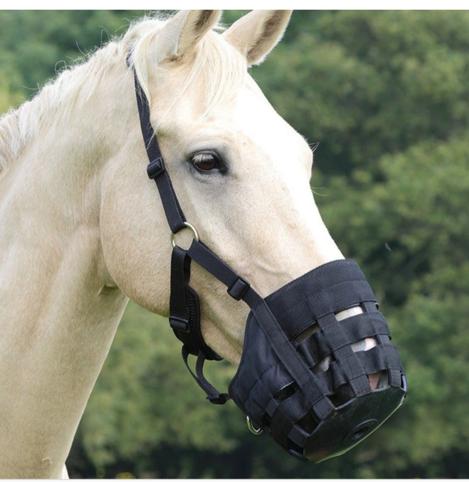 马术用品马嘴罩马匹装备马面罩嘴套防咬马嘴套马具用品马笼头套黑色