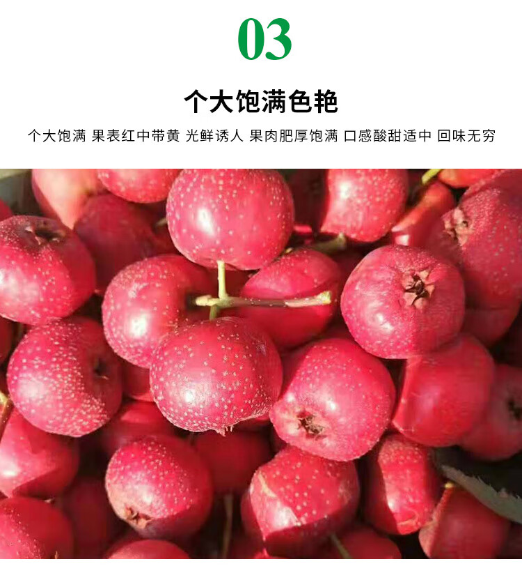 3斤甜红子 个小-掌柜-中通【图片 价格 品牌 报价】-京东