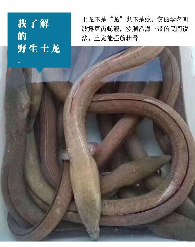 冷冻包装形式:袋装类别:鳗鱼货号:h3f5trbz商品产地:中国大陆商品毛重