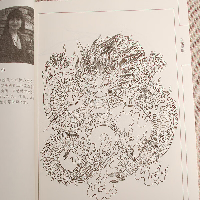 《百龙画谱中国画线描零基础绘画白描底稿千姿百态龙工笔90幅示范画》