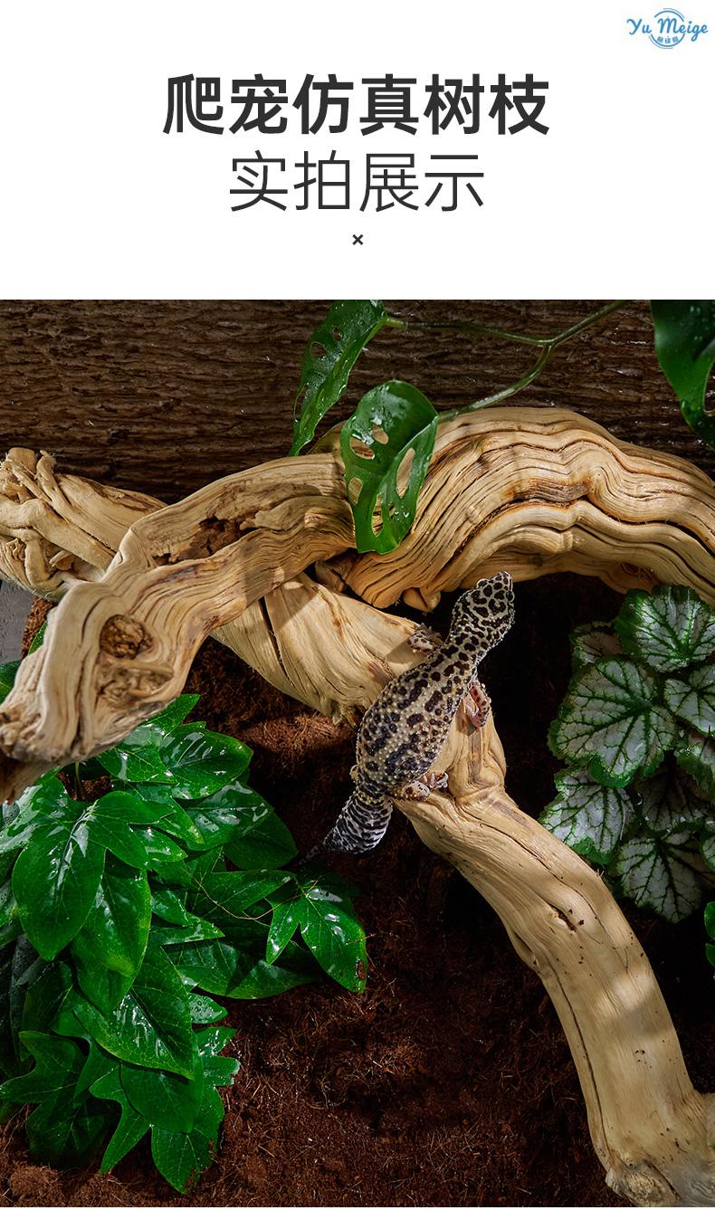 新款宠维奥爬箱造景藤条实木热带雨林缸藤蔓素材装饰角蛙蜥蜴守宫攀爬