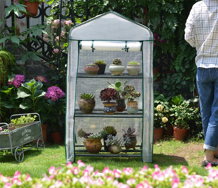 室內植物盆栽多肉遮陽保溫防雨溫室花棚花卉種植花房鋼架暖房花卉暖房