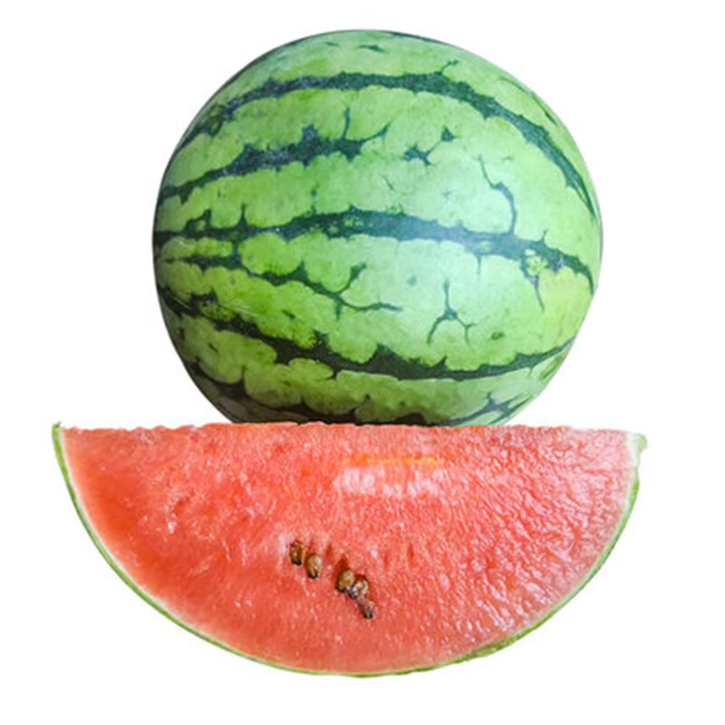 源外园 小糖丸西瓜 新鲜现货 单果2斤左右 迷你小西瓜薄皮超甜好吃