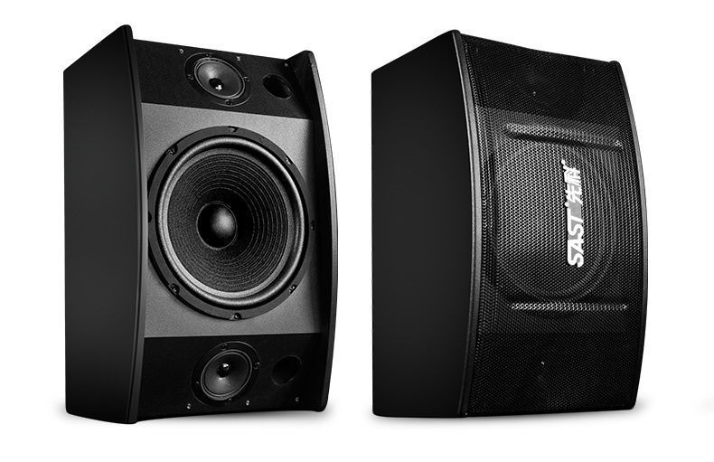 先科(sast) 先科 a10家用卡拉ok专业ktv音箱10寸大功率卡包音响 a10