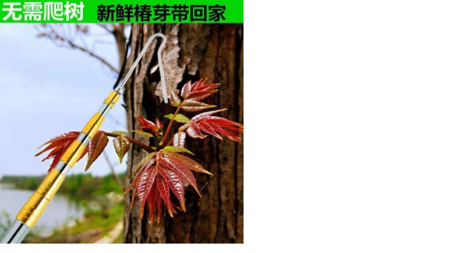 摘香椿钩香椿神器摘榆钱摘香椿芽工具摘椿芽摘槐花钩子采香椿勾子润景