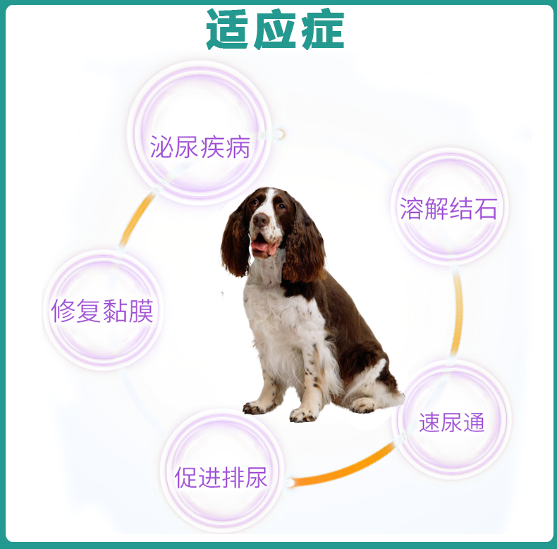 七仓直发 Bei拜恩宠舒灵犬用狗狗泌尿道炎系统利尿通尿道发炎溶结石排尿膀胱炎结晶尿石消尿频尿血犬用宠舒灵片 盒 图片价格品牌报价 京东