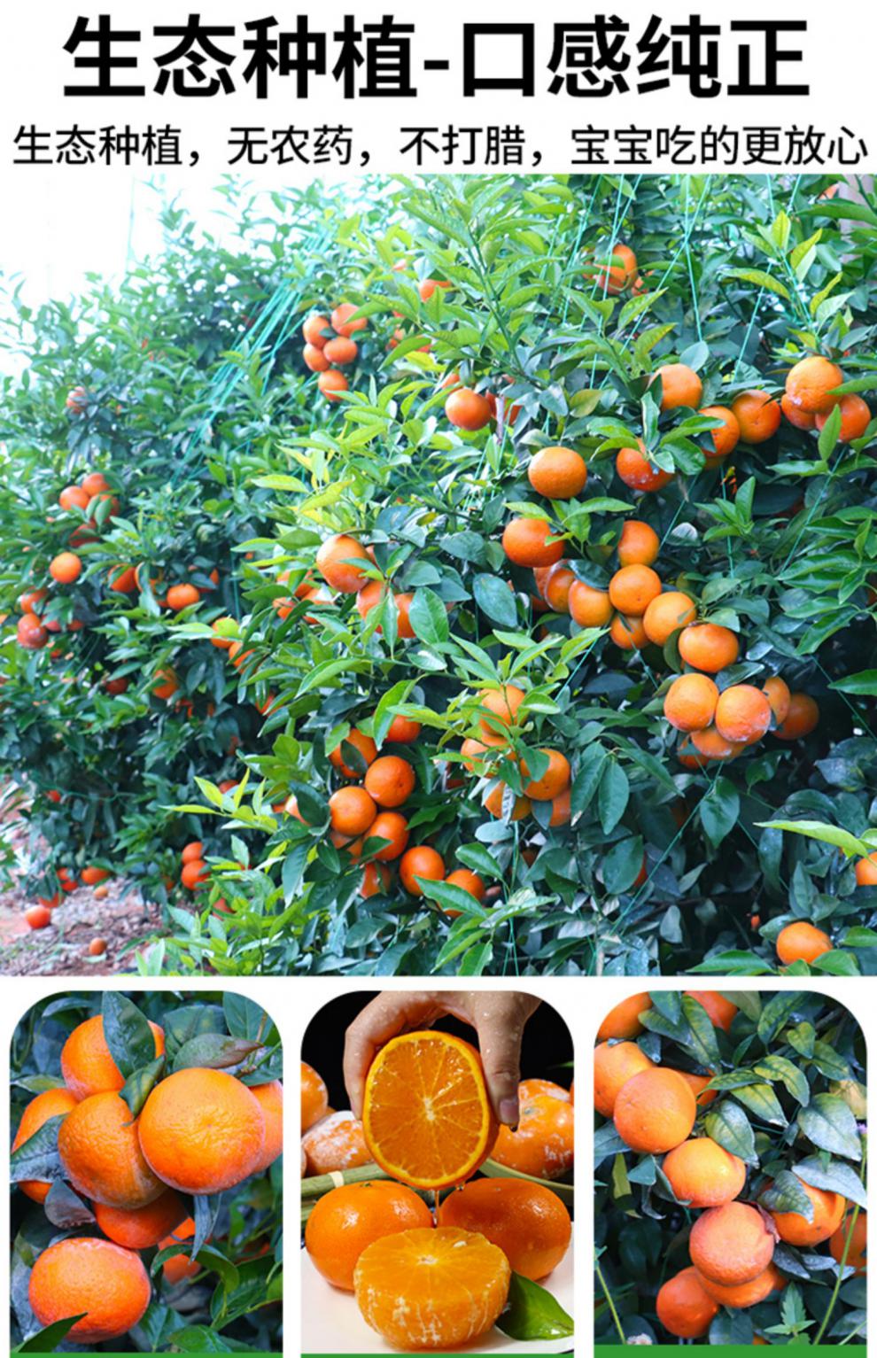 国产原产地:广西包装形式:礼盒装品种:茂谷柑货号:3wdkxzan商品产地