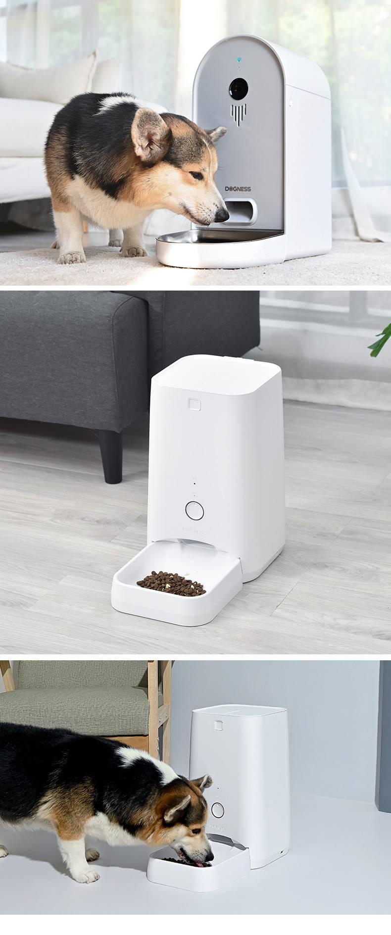 宠物监控多尼斯智能自动喂食器猫咪宠物狗狗自动定时猫粮盆投食机视频