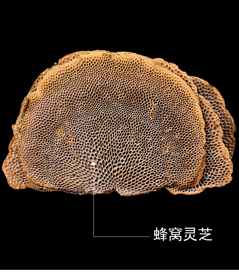 年货盛典仙芝御蜂窝灵芝灵芝蜂窝林芝蜂窝层孔菌蜂窝灵芝250g
