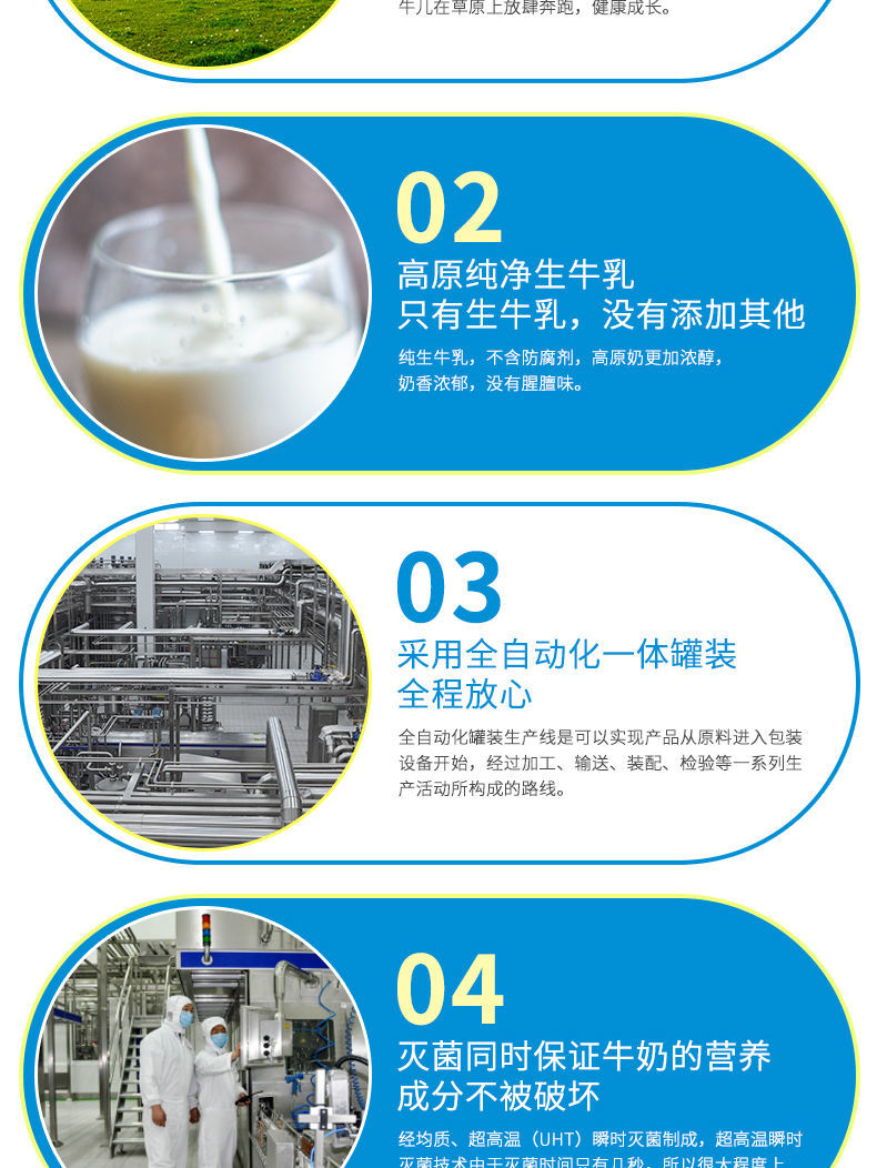五折雪顿纯牛奶220g16袋雪顿纯牛奶袋装牛奶早餐奶牛奶整箱便宜220g16