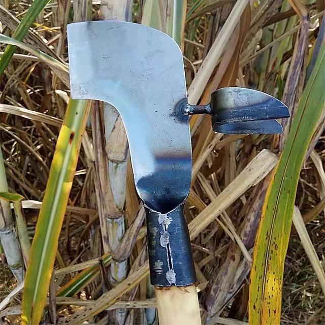 农用砍收甘蔗剥叶镰刀砍修两用专用镰刀手动砍剥甘蔗神器 甘蔗砍剥