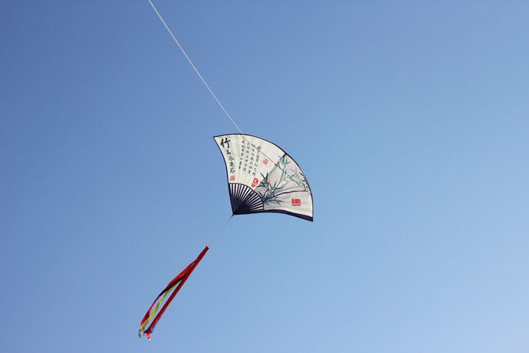 【品质好货】风筝大型成人2019新款追风者梅花扇子风筝成人儿童卡通中