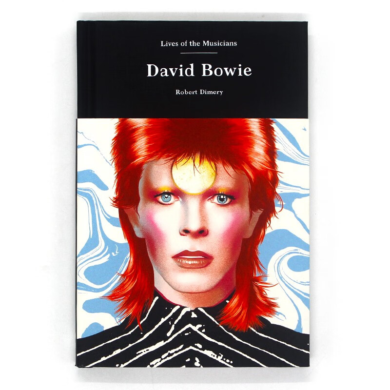 《现货 lives of the artists:david bowie 艺术家生平 大卫·鲍伊