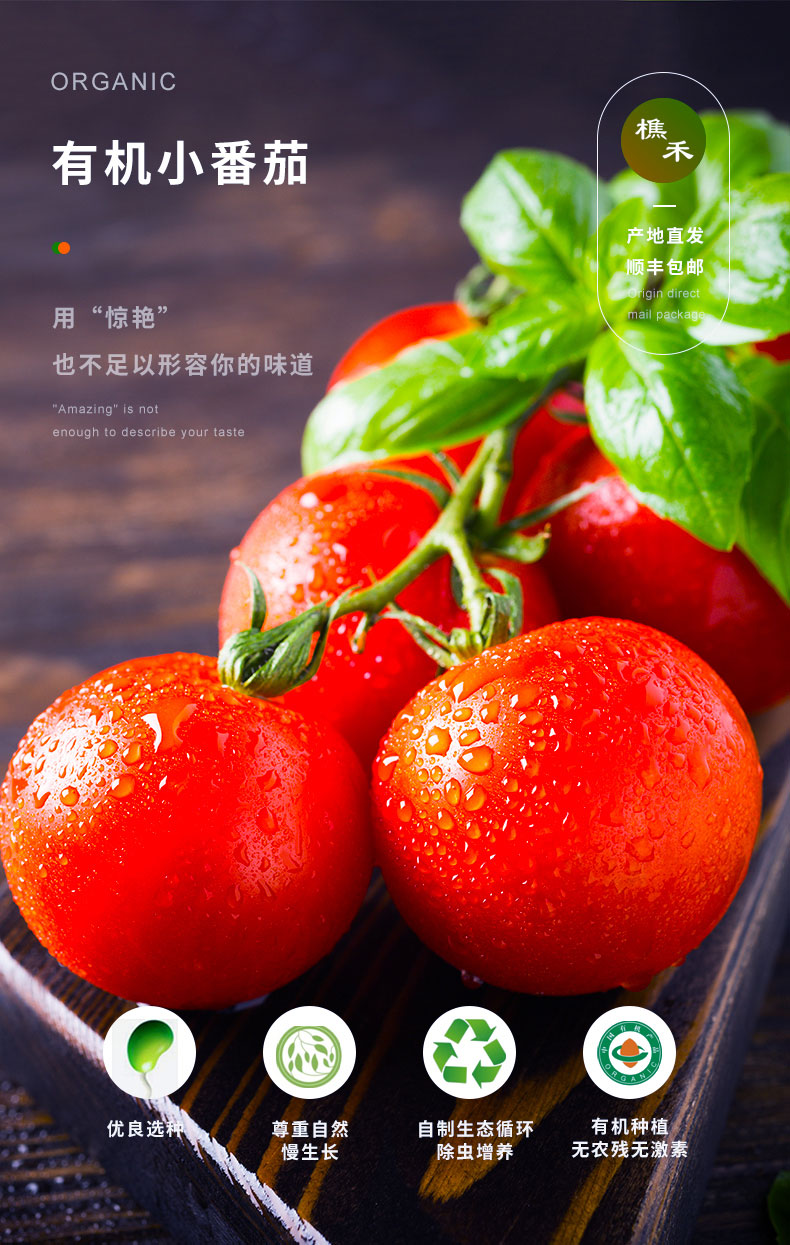 樵禾有机蔬菜有机小番茄有机小西红柿新鲜蔬菜有机认证500g