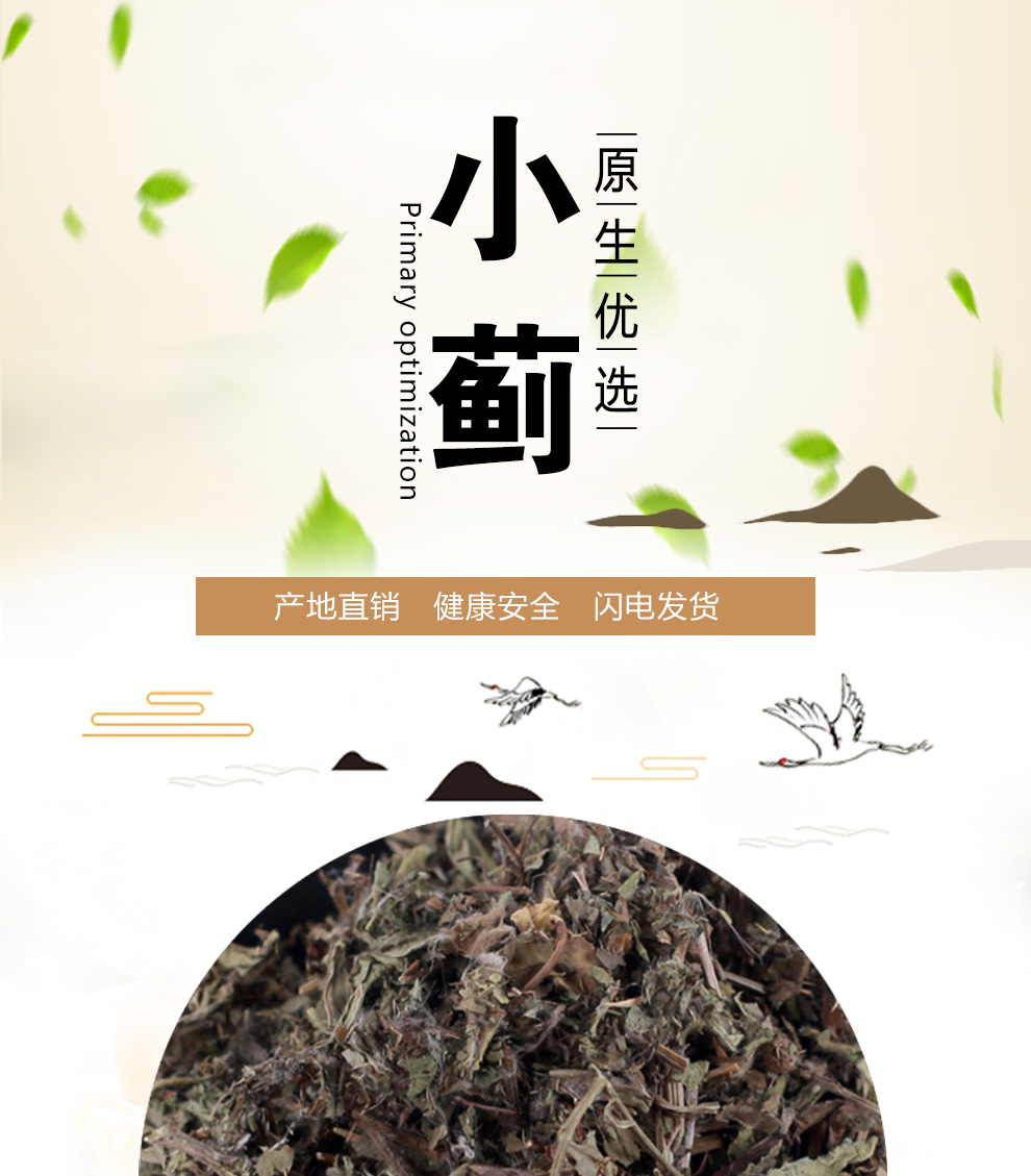 中药小蓟的图片及作用图片