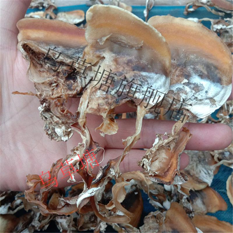 新鲜农家晒干河蚌肉干湖南邵阳土特产干贝壳肉河干货250g250克河蚌肉