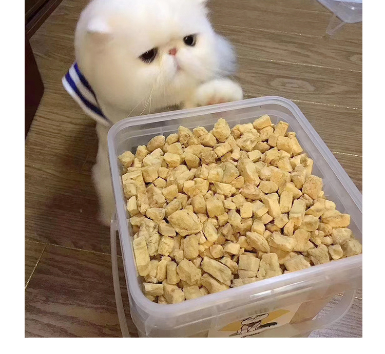 梁老财大桶冻干猫粮鸭牛肝鸡肉三文鱼鹌鹑鸵鸟宠物猫咪