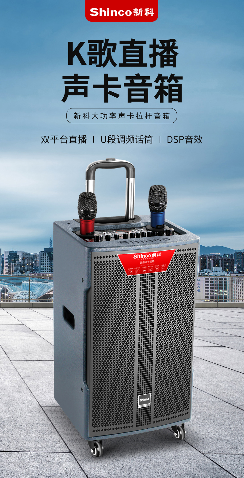 新科广场舞户外网红音响户外直播内置声卡一体机k歌带无线话筒大功率