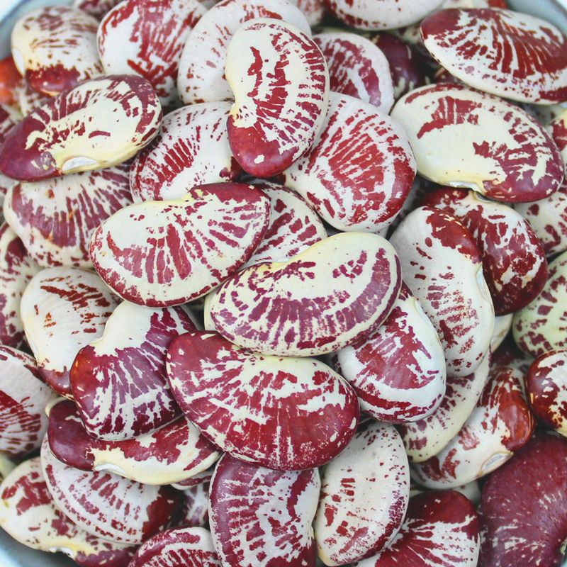 云南大肾豆5斤农家自产荷包豆皇帝豆斑马豆状元豆豆