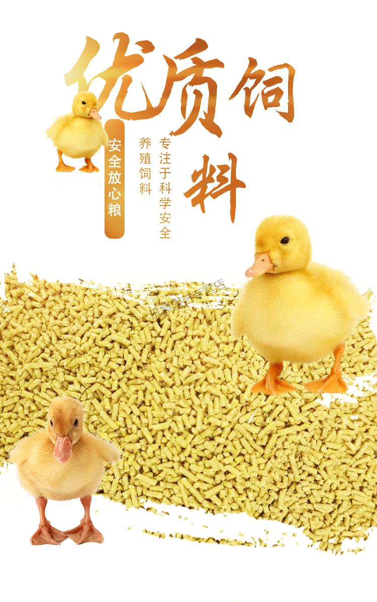 鸭饲料细颗粒饲料小鸭饲料小鸭子饲料专用山野雏粮食雏鸡饲料2斤通用