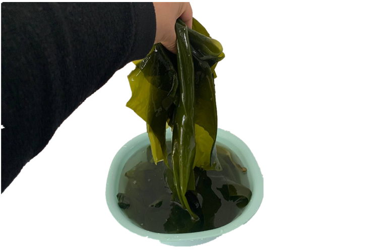 半亩庄园荣成特产新鲜盐渍海带边荣成昆布薄边凉拌绿色海菜5斤