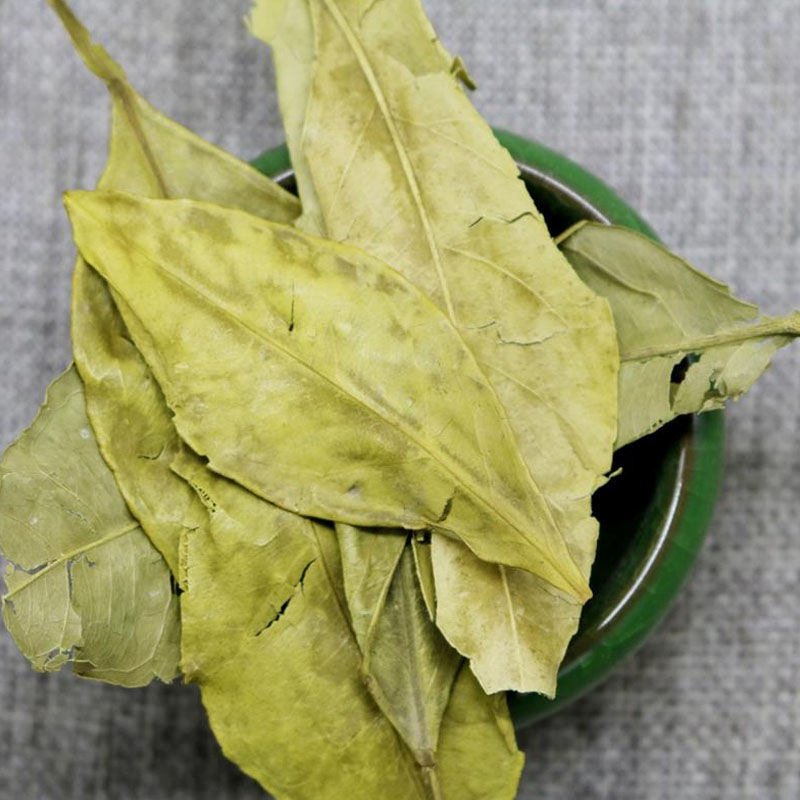 中药材橘叶 金橘叶/橘叶/桔子叶500g食用农产品初加工 5斤