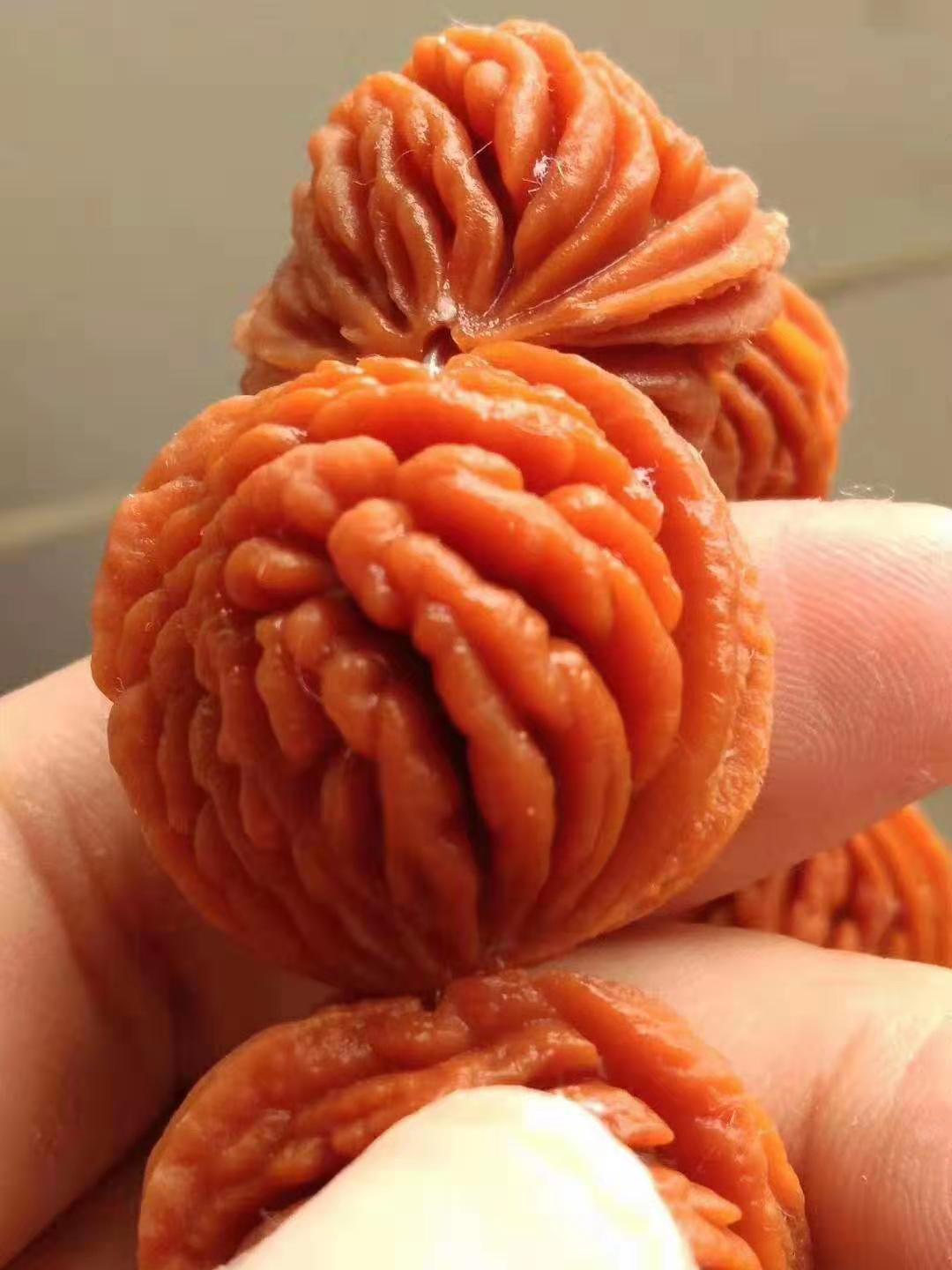 秦岭野生精品刺龙纹桃核霸王龙桃胡手串深纹核桃串18mm精品刺龙纹20mm