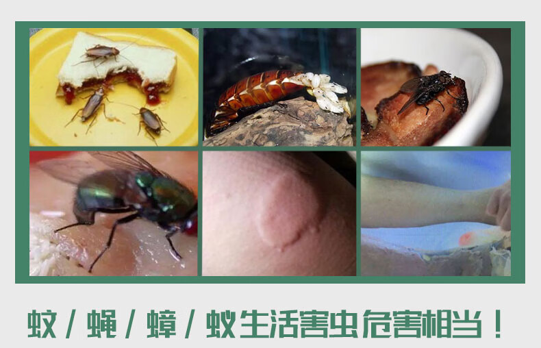 灭蚊子苍蝇药家用蟑螂臭虫药跳蚤螨虫虱子酒店超市办公室杀虫剂2.