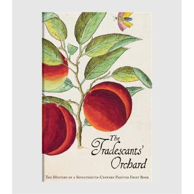 The Tradescants' Orchard:The Mystery of a Seventeenth-Century Painted Fruit Book