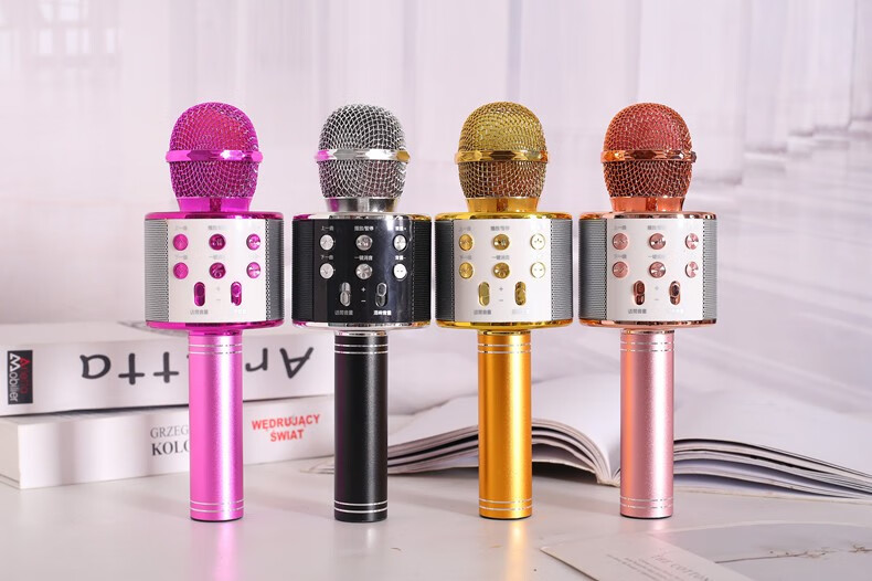 漫纳致(mannazhi) 麦克风音箱一体机话筒音响一体全民唱歌神器手机k歌