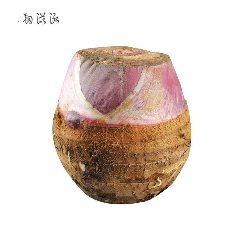 兴化垛田龙香芋现挖大芋头新鲜软糯香芋艿农家自种舌尖上的中国 龙