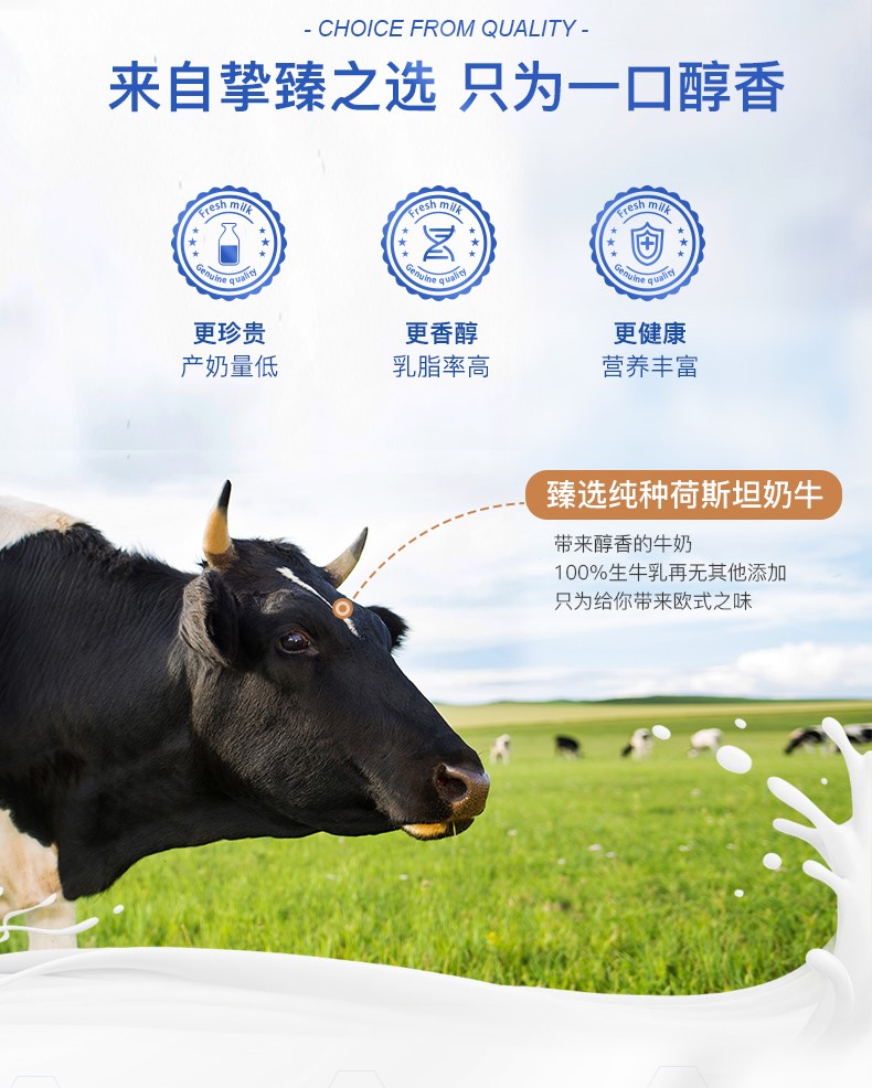 【蓝堡臻】纯牛奶200ml*24瓶全脂牛奶儿童学生营养早餐奶家庭装整箱