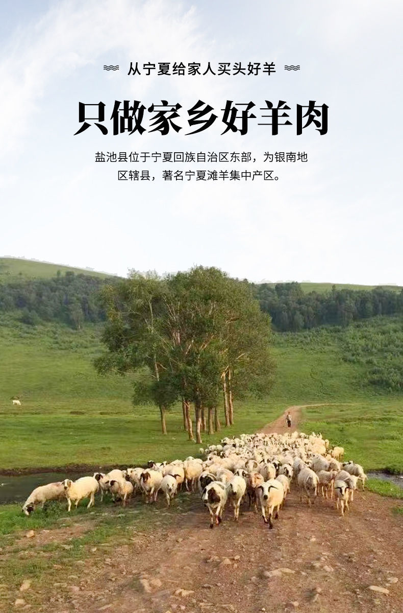 现宰新鲜宁夏半羊烤全羊整只1540斤整羊批发去皮羊羔肉赠礼推荐滩羊