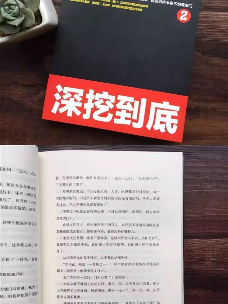 纪委书记1+2 全2册 一部具政治智纪委书记巨著罗晓追问慧的反腐巨著罗晓作品追问现当代 纪委书记1+2详情图片4