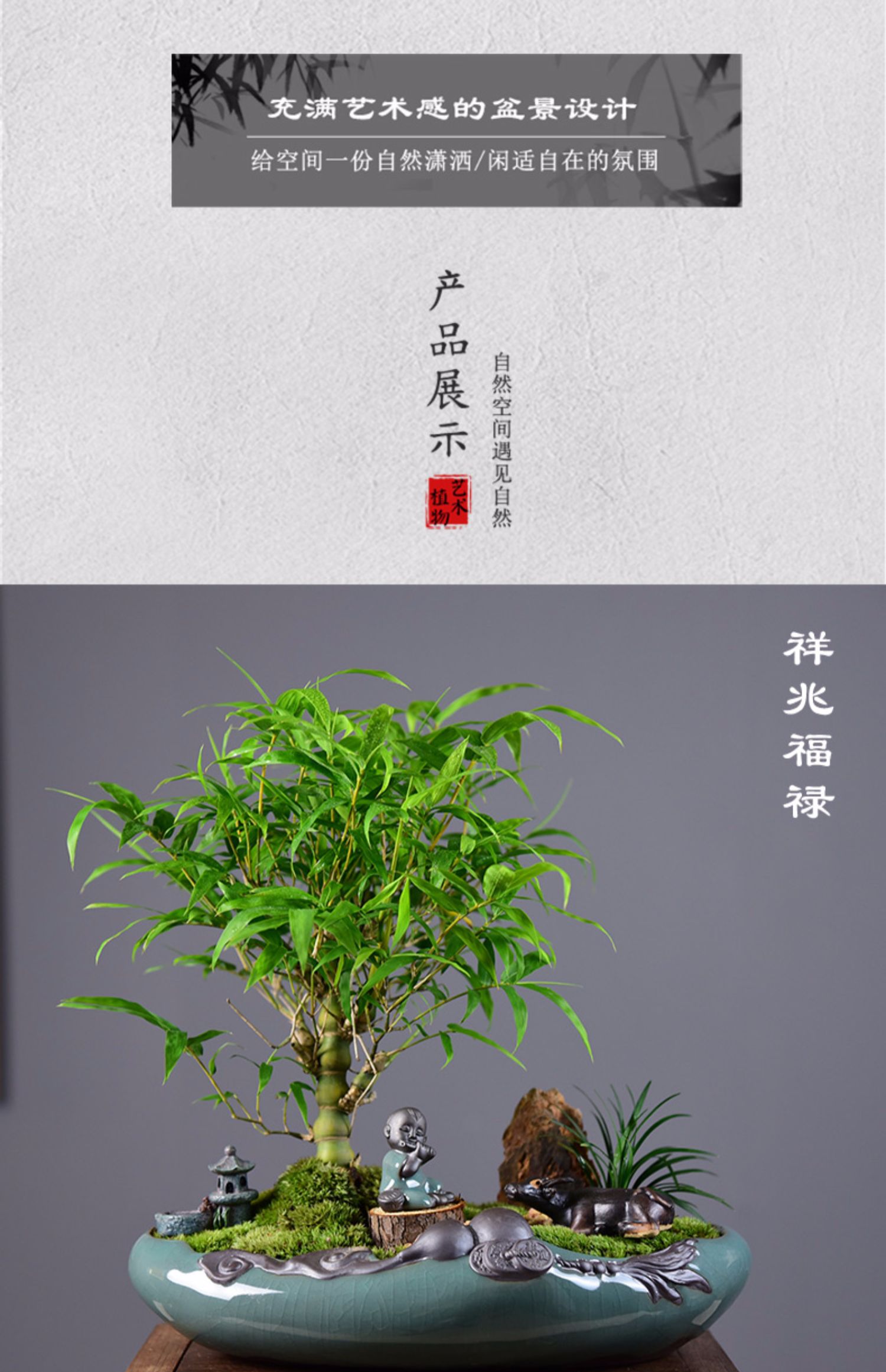 適用空間:陽臺是否含花盆:帶盆栽好植物品種:其它植物類別:觀葉植物